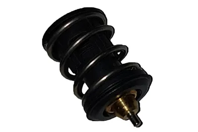 Termostato, refrigerante Seat IBIZA IV · Seat IBIZA IV SC · Seat IBIZA IV ST