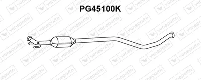Catalizador VENEPORTE PG45100K