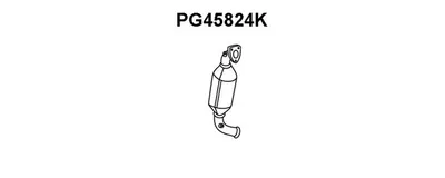 Catalizador VENEPORTE PG45824K