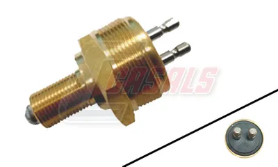 Interruptor CASALS 65419