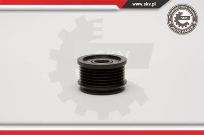 Rueda libre alternador Audi A4 B5 · Audi A4 B5 Avant · Audi A4 B6