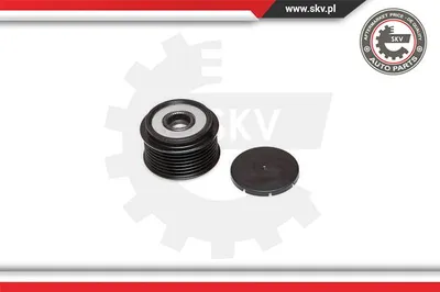 Rueda libre alternador Nissan TERRANO II · Nissan PATROL GR V Wagon · Nissan INTERSTAR Bus