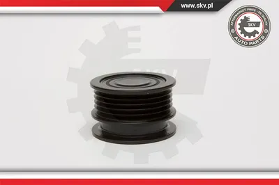 Rueda libre alternador Renault KANGOO · Renault CLIO II · Renault KANGOO Express