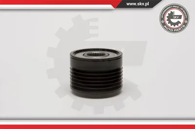 Rueda libre alternador Fiat DOBLO MPV · Fiat DOBLO Box Body/MPV · Fiat IDEA