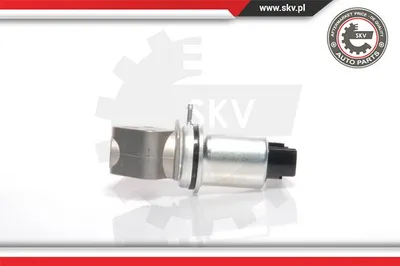 Válvula EGR Seat IBIZA III · Seat CORDOBA · Skoda FABIA I
