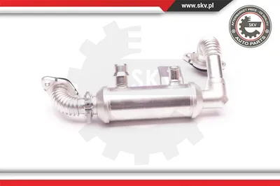 Elemento enfriador, reciclaje gases escape Ford TOURNEO CONNECT · Ford TRANSIT CONNECT · Ford FOCUS C-MAX