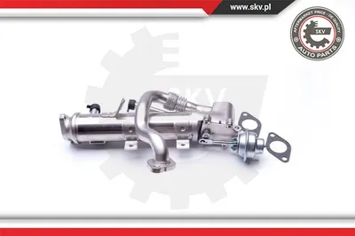 Elemento enfriador, reciclaje gases escape Audi A6 C6 · Audi A6 C6 Avant · Audi A5