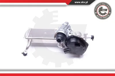 Válvula EGR Audi Q5
