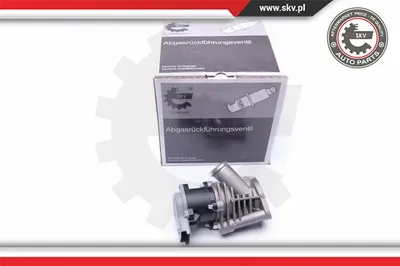 Válvula EGR Citroën C5 I · Citroën C5 I Break · Peugeot 406