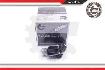 Válvula EGR Citroën C4 PICASSO I MPV · Citroën C5 III · Citroën C5 III Break