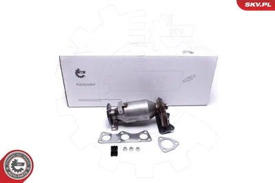 Catalizador Skoda FABIA I · Skoda FABIA I Combi · Skoda FABIA I Saloon