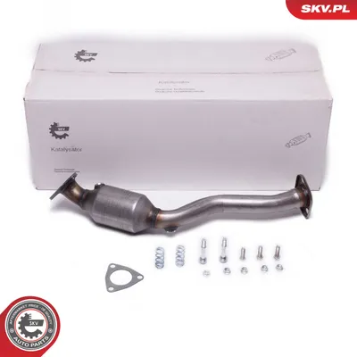 Catalizador, universal ESEN SKV 62SKV020