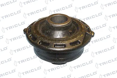 Suspensión, Brazo oscilante Citroën C3 I · Citroën C3 Pluriel · Citroën C2