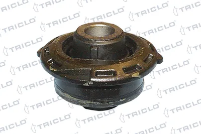 Suspensión, Brazo oscilante Citroën C3 I · Citroën C3 Pluriel · Citroën C2