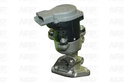 Válvula EGR NAP carPARTS CAV10064