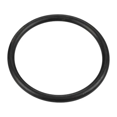 O-Ring Zündspule OE (14463980)