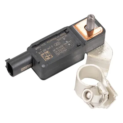 Steuergerät für die Batterie