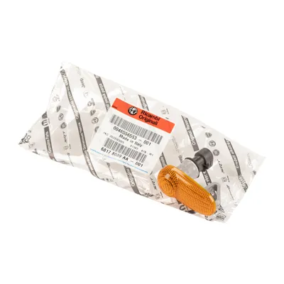 Seitenblinker komplett rechts oder links